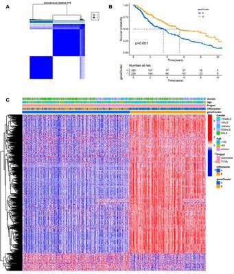 The value of cuproptosis-related differential genes in guiding prognosis and immune status in patients with skin cutaneous melanoma